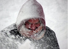 Counseling and Psychotherapy Services for the North Shore and Chicagoland